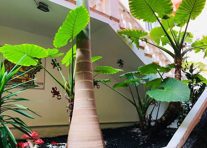 Ocean View Appartement *