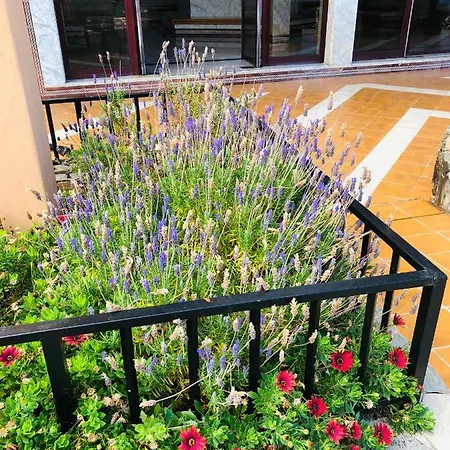 아파트 Ocean View 아데제