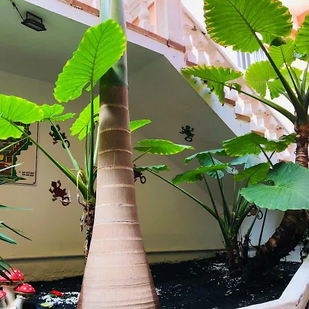 Ocean View 아파트 *