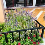 Apartment Ocean View Costa Adeje (Tenerife)