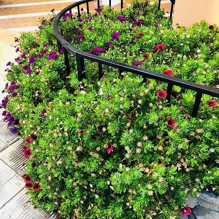 Ocean View Apartamento *