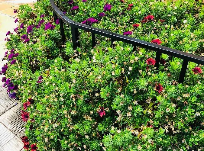 Ocean View Апартаменти *