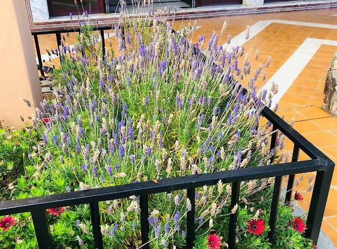 Апартаменти Ocean View Адехе